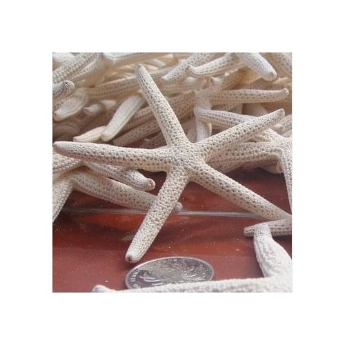HappyKiss White Natural Starfish Real White Finger Starfish size 7-10cm weddings or party home decoration sea star 10PCS/lot