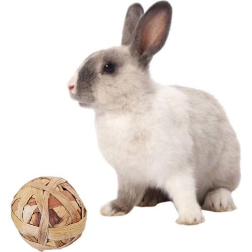 Loriver Animal Care Items