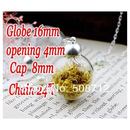 20sets 16mm Clear Glass Globe Bottle Pendant opening 4mm & Silver Necklace & Silver cap