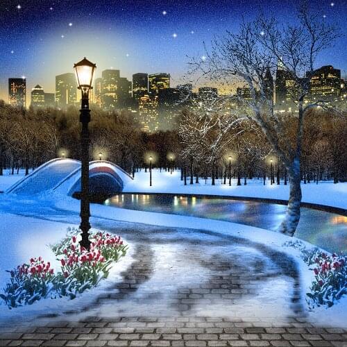 Winter snow City Park Christmas Snow River Bridge tree light road flower backdrop Vinyl cloth Computer print party background