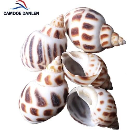 CAMDOE DANLEN Womens Clothing