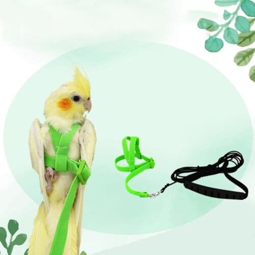 2021Pet Bird Harness Adjustable Parrot Leash Harness Training Rope Flying Band Bird Rope Outdoor Training Rope Belt Walking Lead