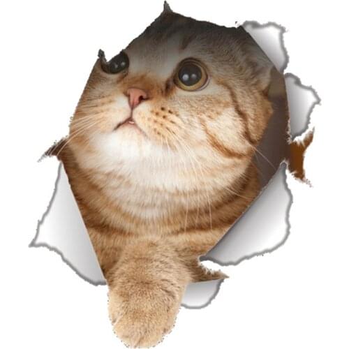 S30960# Self-adhesive Decal Looking Up Cat Car Sticker Motorcycle Laptop Waterproof Auto Decors on Bumper Rear Window