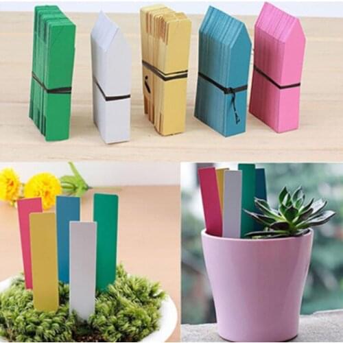 Tree Fruits Seedling Garden Flower Pot Plastic Tags Sign Reusable PVC Plants Tag Labels Classification Plants Name Card