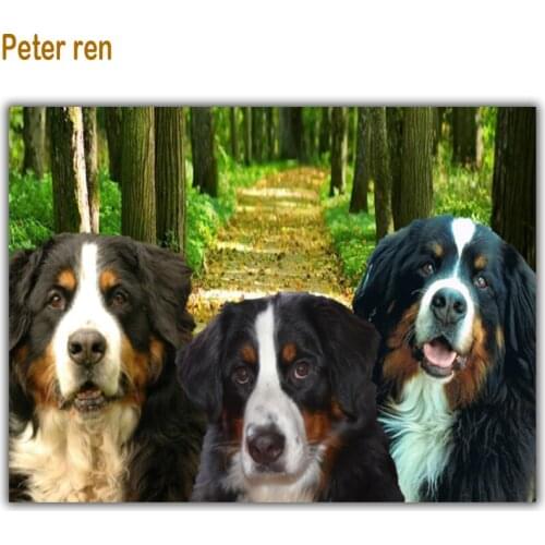 Diamond Embroidery animals Diy Diamond painting Bernese Mountain Dog 3d Square Diamond Mosaic icon Full Cross Stitch painting