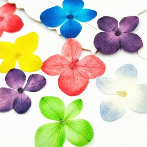 24pcs,Nature Pressed Hydrangea Flower petals,Nail Art Decoration DIY Flora Gel Manicure Stickers,Bookmark Gift Facial decoration