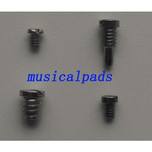 20 Pieces Piccolo Screws & 1 Piece Screwdriver In Piccolo Repairment