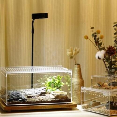 Acrylic Breeding Insect Box Reptile Collection Garden Insect House Terrarium Praying Mantis Insektenhotel Insect Supplies Ed50id
