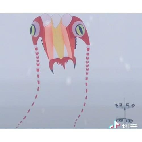 Inflatable windsock Trilobite soft kite outdoor game child Single line kite rainbow kite adult outdoor toys kites for adults