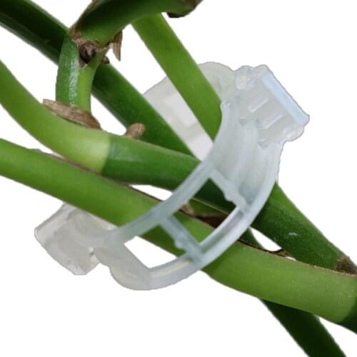 Artracyse 10PCS Plant Growth Clamps Tomato Melon Vine Clamps Vines Clamps Plastic Clamps