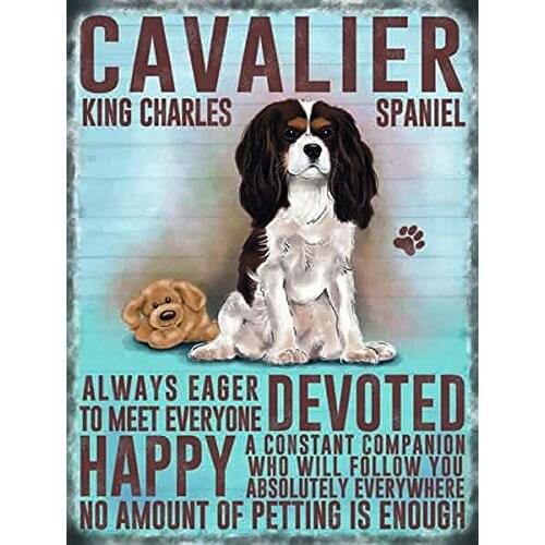 Cavalier King Charles Spaniel Small Steel Sign Metal Painting Metal Poster Metal Palque Metal Tin Sign 2020 Drop Shipping