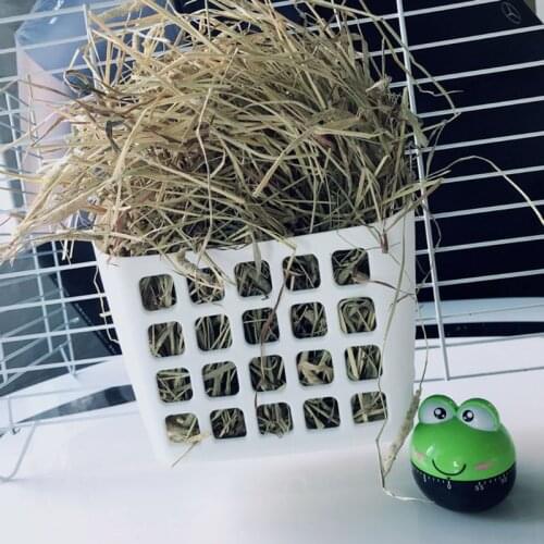 Rabbit Food Feeder Small Animals Hay Rack Manger Bin Bowl Chinchilla Cage Accessories