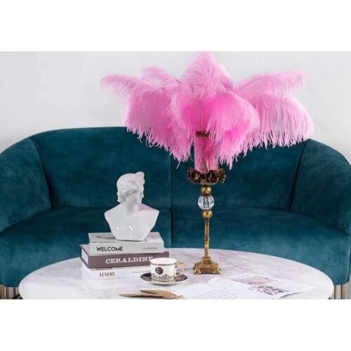 Wholesale 70-75cm ostrich feathers for craft wedding party supplies Carnival dancer decoration plumas for home decoration