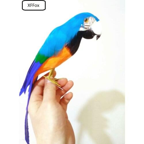 New real life blue&orange parrot model foam&feather cute parrot bird gift about 32cm xf0090