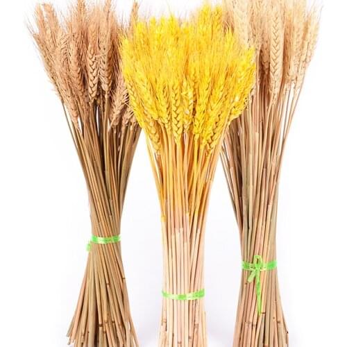 100Pcs/lot Real Wheat Ear Flower Natural Dried Flowers for Wedding Party Decoration DIY Craft Scrapbook Home Decor Wheat Bouquet
