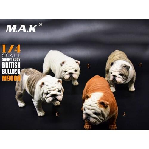 1:4 Short Body Exaggerated British Bulldog Resin Statue M-9009 Model 4 Colors for 18" Collectible Action Figure Scene Accessory