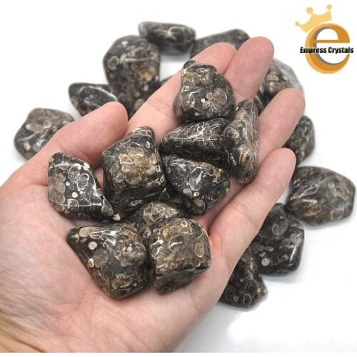 Natural Turitella Agate Crystal Tumbled Bulk Healing Mineral Specime Gemstones Gem Raw Aquarium Decoration
