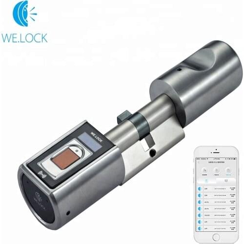 Free Ship 2021 new Interlligent Bluetooth Remote Fingerprint electronic door Lock Cylinder Door Open L6SBR Fingerprint