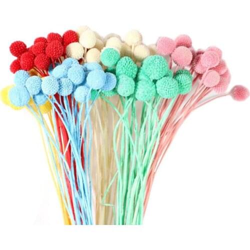 5 Bundles/100pcs Dried Preserved Billy Buttons Flower For Wedding Party Home Hotel Decoration DIY Bouquet Making
