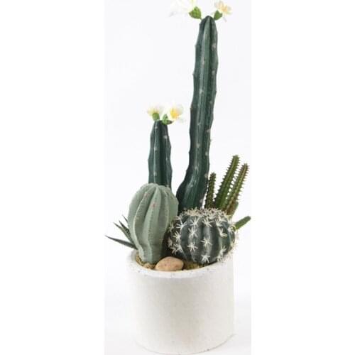 Artificial Cactus Succulents Bonsai Fake Plants Home Decorations Photography Props