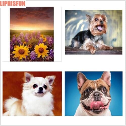 5D DIY Diamond Painting sunflower Yorkshire Terrier Cross Stitch Needlework Home Decor Full Rhinestone Diamond Embroidery