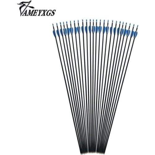 Archery Arrows 81cm Long Spine 1000 Disturb Carbon Shaft Carbon Arrows with Steel Point 4.2mm ID for Recurve and Compound Bow