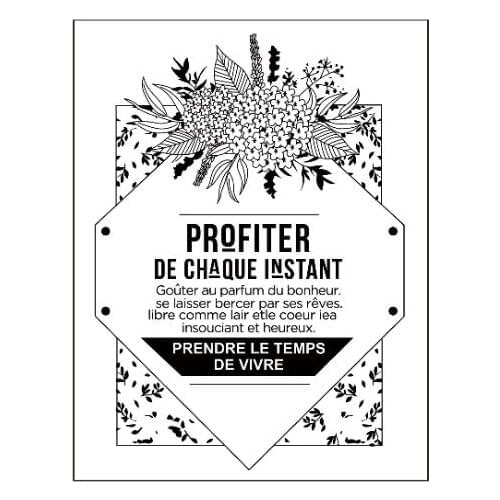 French Transparent Clear Stamps for DIY Scrapbooking/Card Making/Kids Christmas Fun Decoration Supplies A229