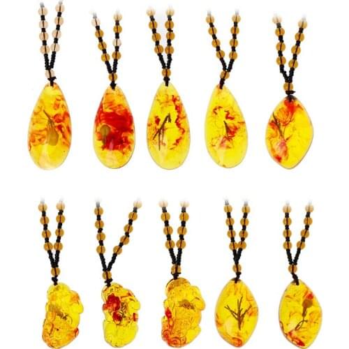 Baltic Amber Plant Fossil Inlaid Natural Pendant Necklace Unisex Fashion Jewelry