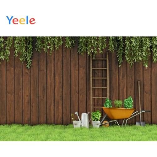 Spring Wood Board Wall Green Grassland Farm Yard Ladder Baby Shower Vinyl Backdrop Photography Background For Photo Studio Shoot