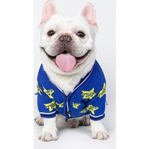 Dogs Designer Sweater Cat Autumn Winter Warm Clothing French Bulldog Chihuahua Designer Clothes Puppy Kitten Costume Pet Clothes