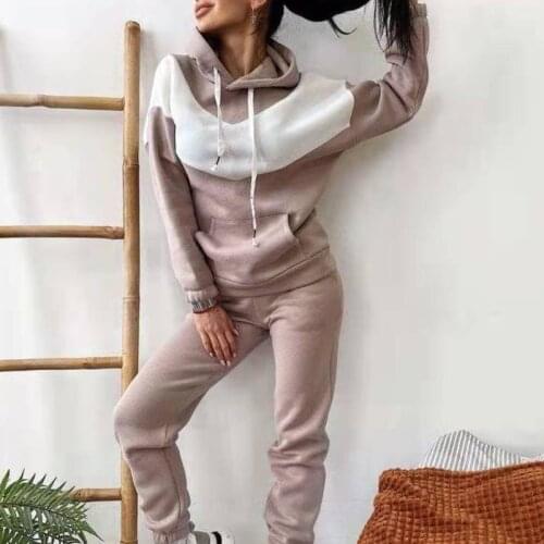 Tracksuit Women Basic Sweatshirts Sets Early Spring Hoodies+ Elastic Waist Pants Casual Suits 2021 Pullover Streetwear Outfits