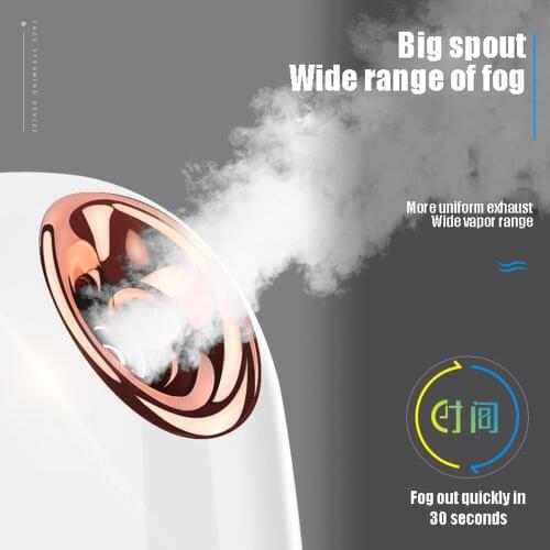 Sauna Facial Steamer SPA Face Moisturizing Nano Spray Mist Humidifier Big Hot Mist Sparyer Fruit Vegetable Skin Deep Hydrating