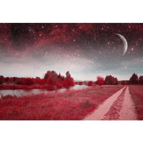 VinylBDS Scenic Photo Shoot Backdrop Sunset Starry Sky Backdrop Wedding With Moon Washable Seamless Background For Photo Studio