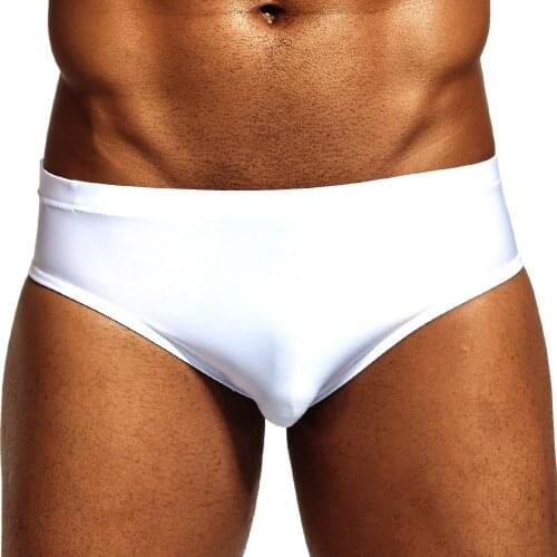 PINKY SENSON Nylon Ice Silk Mens Sexy Underwear Men Bikini Brief Sissy Panties Gay Sleepwear Quick Drying Gay Underwear