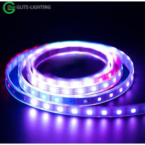 Breakpoint Continous Digital Ws IP67 60Leds Flexible 2813 Pixel Led Light Ws2813