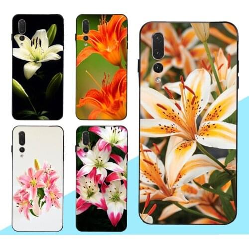 Colorful Flower Lily Case for Huawei Honor 10i 9 10 20 Lite 8X 9X 7C 7A Pro 8A 8C 8S Y9 Y6 Y7 2019 Nova 5T