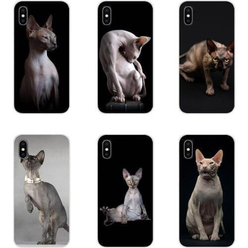 For Samsung Galaxy J1 J2 J3 J4 J5 J6 J7 J8 Plus 2018 Prime 2015 2016 2017 sphynx cat Accessories Phone Cases Covers