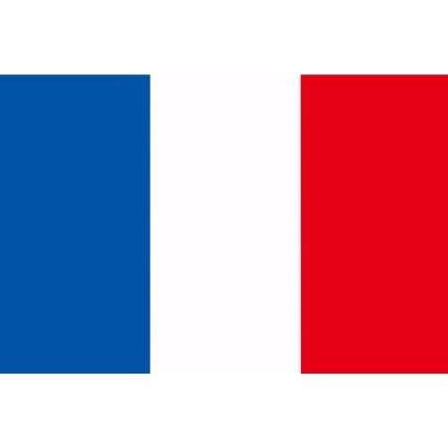 192*288cm France Flag national flags Super-Poly hanging Indoor Outdoor French FLAG Country Banner