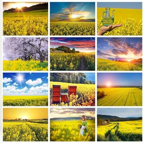5D Diy Diamond Embroidery Mosaic Yellow Canola Flower Paintings Full Rhinestone Scenery Picture Wall Art Home Bedroom Decoration