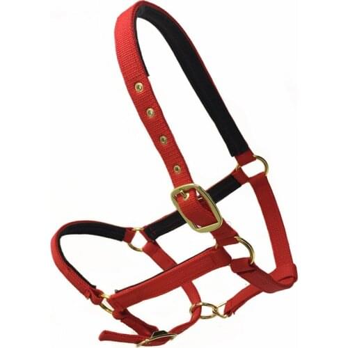 Soft Horse Riding Equipment Halter Belt Horse Bridle Halter Headstall for Riding Competitions Game Horses Halters Equestrian