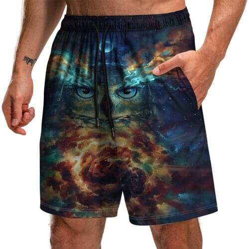 Fun Surf Shorts Mens Summer Personality Owl Digital Print Swimming Beach Pants Fashionable Loose Quick Dry Casual Shorts S-6XL