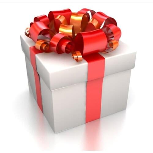SHIPPING COST OF THE GIFTS,THE DIFFERENCE DEDICATED LINK
