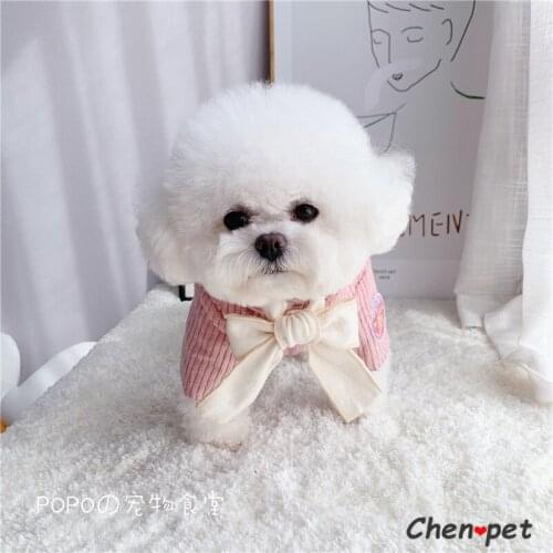 Luxury Winter Sweet Cute Designer Pet Puppy Cat Clothes for Small Dogs Hoodies Coat Thicken Warm Jacket Coat Puppy Sweater