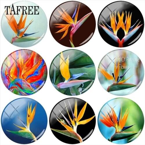 TAFREE Orange Strelitzia Flower 12mm/15mm/16mm/18mm/20mm/25mm Round Photo Glass Cabochon Demo Flat Back Making Findings