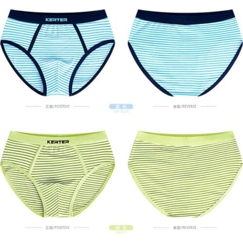 4Pcs/Lot New Boys Briefs Underwear Kids Triangle Cotton Panties Childrens Underwear Boys Teenager Underpants 2-14years