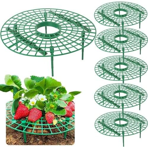 5/10PCS Strawberry Supports Stand Plant Support Strawberry Growing Racks Frame Holder Balcony Vegetable Rack Flower Vine Pillar