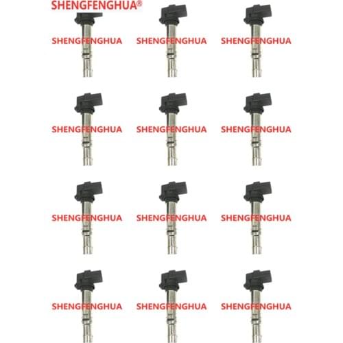 Set of 12 Ignition Coils For 2011-2018 Audi A8 #07P905715 7P905715 ZSE138 C-973