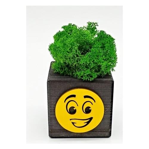 PiPWooD Artificial Flowers For Decoration