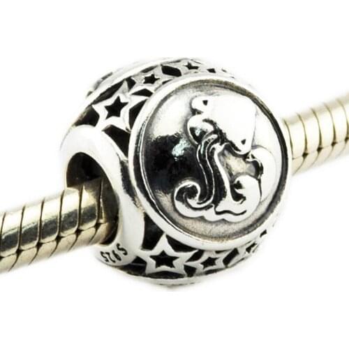 Autumn Collection Authentic 925 Sterling Silver bead Aquarius Star Sign Charm Fit Original Brand Charms Bracelet jewelry