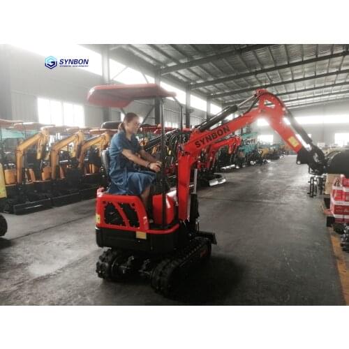 1.0 ton mini crawler excavator small digger for garden farmland SYNBON